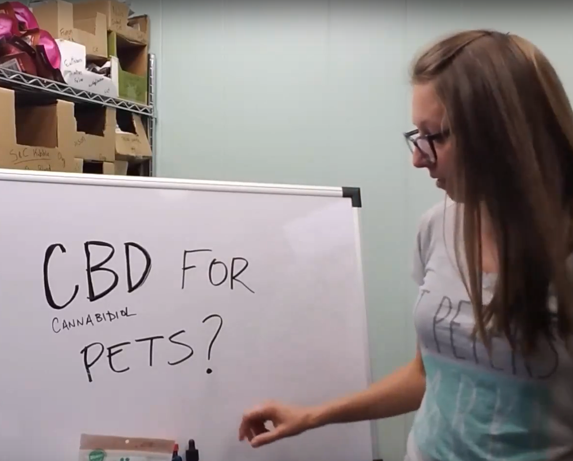 CBD Oil For Pets