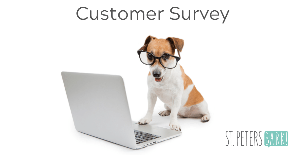 Customer Survey